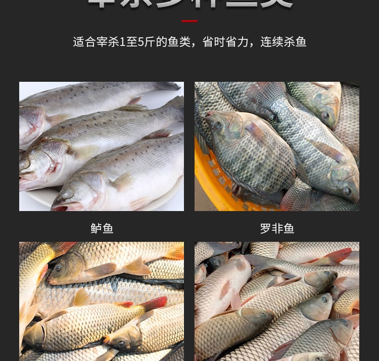 ?惧??椹?BCH-16D寮???/寮?????楸兼??